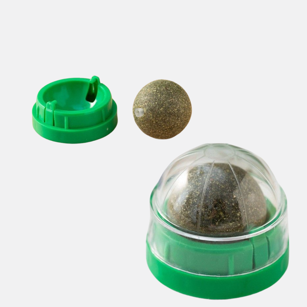 Catnip Ball to Make Your Cat Go Crazy