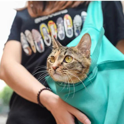 Cat Travel Tote